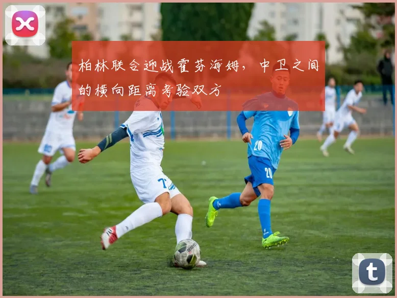 柏林联合迎战霍芬海姆,中卫之间的横向距离考验双方