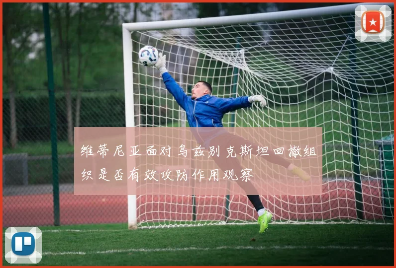 维蒂尼亚面对乌兹别克斯坦回撤组织是否有效攻防作用观察