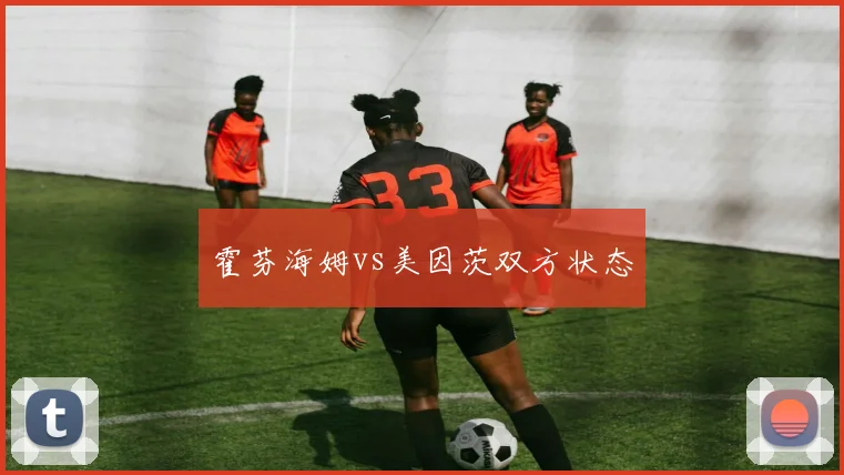 霍芬海姆vs美因茨双方状态