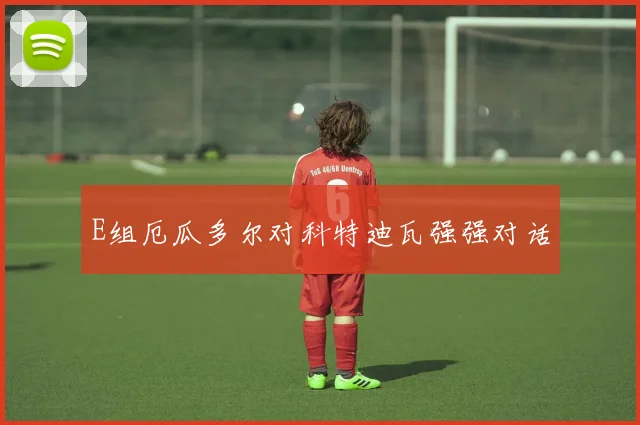 E组厄瓜多尔对科特迪瓦强强对话